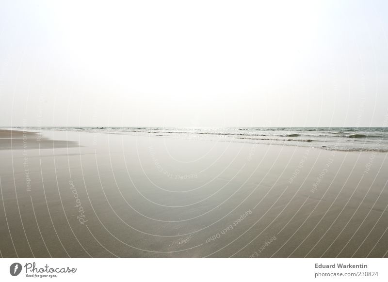 Himmel Wasser Sand Sommer Strand Meer Umwelt Natur Landschaft Luft Schönes Wetter Wellen Küste blau grau minimalistisch leer Tiefenschärfe Farbfoto