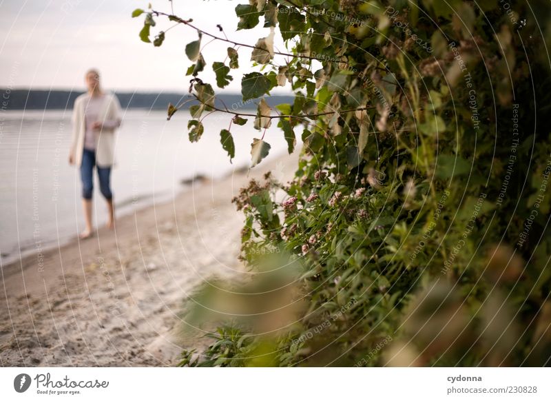 Strandspaziergang Lifestyle Wohlgefühl Zufriedenheit Erholung ruhig Freizeit & Hobby Ferien & Urlaub & Reisen Ausflug Sommerurlaub Mensch Frau Erwachsene Umwelt