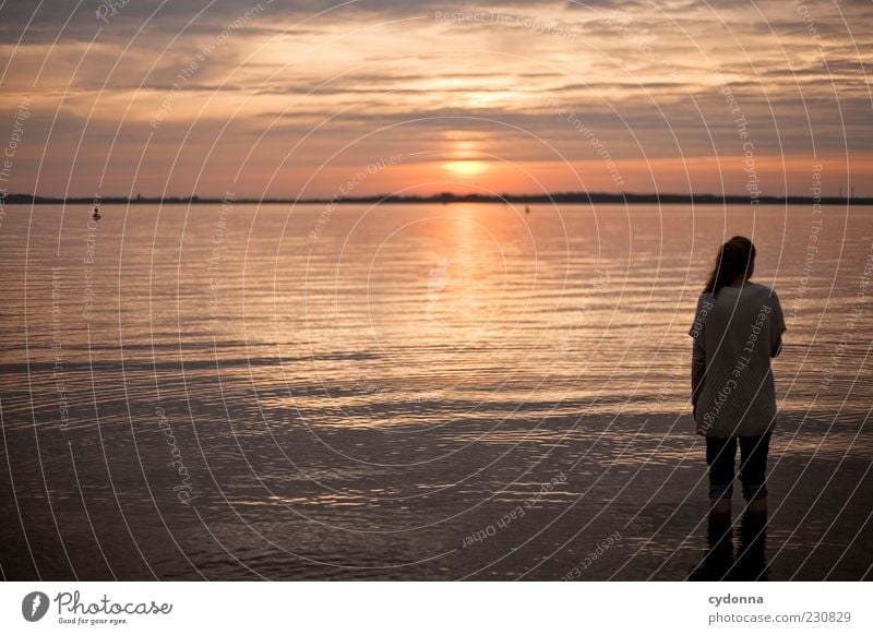 Sonnenuntergang Lifestyle harmonisch Wohlgefühl Zufriedenheit Erholung ruhig Ferien & Urlaub & Reisen Ausflug Ferne Freiheit Sommerurlaub Mensch Junge Frau