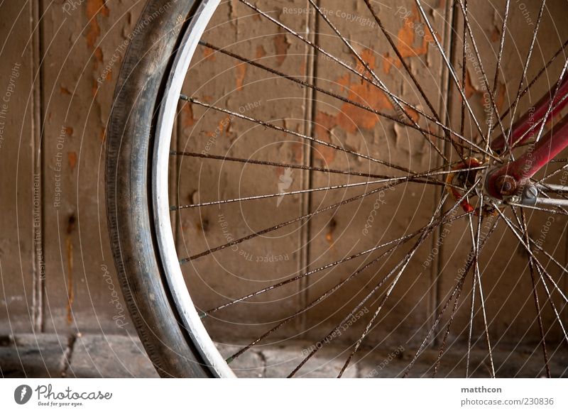 Diamant von vorn Teil II Fahrrad alt braun rot Vergänglichkeit Farbfoto Reifen speichen Rost Detailaufnahme Bildausschnitt Fahrradreifen fahrradspeichen