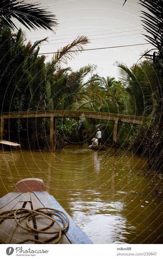 Welcome to the jungle Natur Wasser Sommer schlechtes Wetter Sträucher exotisch Urwald Flussufer Bootsfahrt Ruderboot Seil beobachten entdecken fahren nass