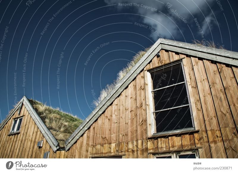 Kiffhäuser Häusliches Leben Wohnung Haus Umwelt Natur Urelemente Luft Himmel Klima Schönes Wetter Gras Hütte Fassade Fenster Dach außergewöhnlich lustig