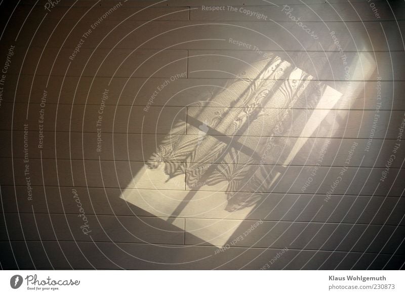 Tristess. Sonnenlicht fällt durch ein Fenster mit Gardinen auf Paneele an der Wand. Innenarchitektur Bauwerk Kunststoff weiß parallel Farbfoto Innenaufnahme