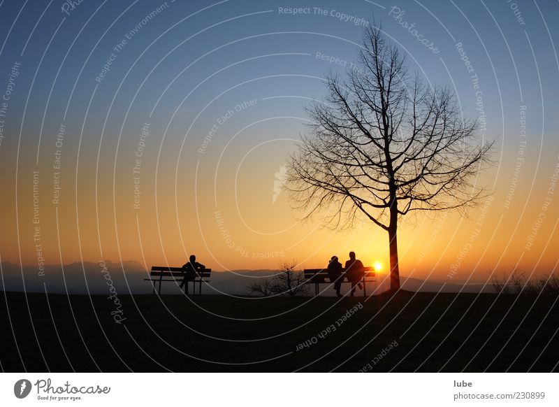 Auf der Ruhebank harmonisch Wohlgefühl Zufriedenheit Erholung ruhig Ferien & Urlaub & Reisen 3 Mensch Landschaft Wolkenloser Himmel Sonnenaufgang