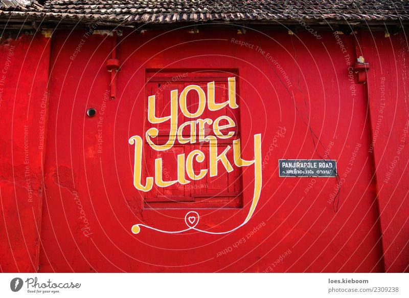 you are lucky Design Mauer Wand Stein Zeichen Schriftzeichen Graffiti träumen Glück Fröhlichkeit Zufriedenheit Lebensfreude Kraft Text Hintergrundbild