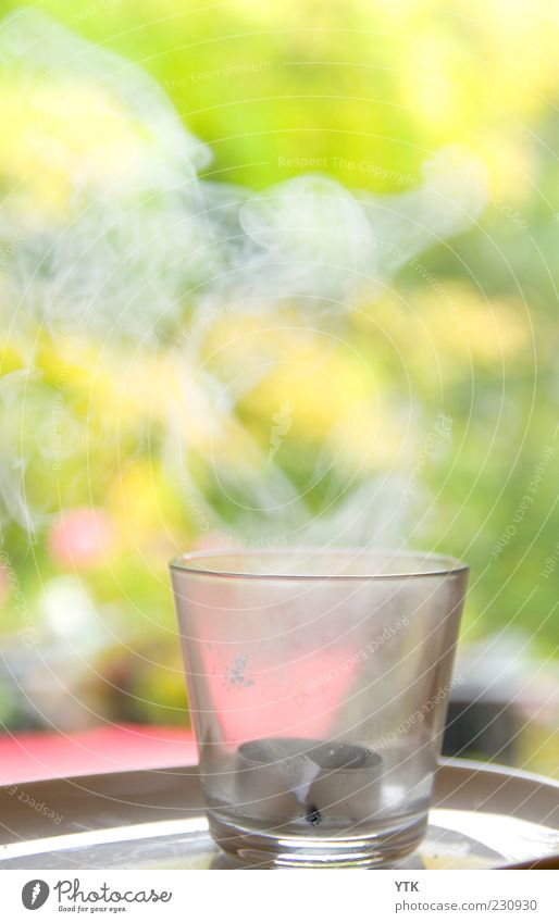 An den Indianer gegenüber... Kerze Rauch weiß Ende vergangen Rauchzeichen Unschärfe grün Teelicht Teelichtständer aufsteigen Vergänglichkeit Glas