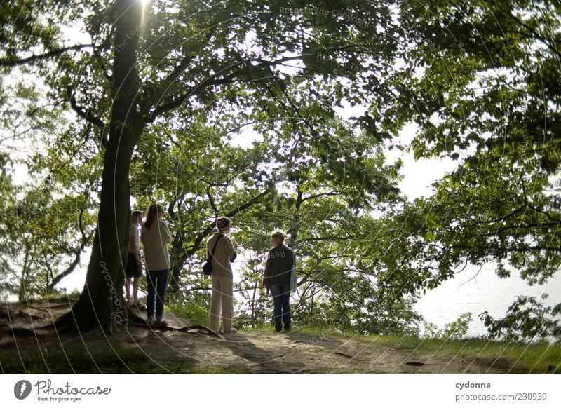 Zusammen ins Grüne Lifestyle Wohlgefühl Zufriedenheit Erholung Ausflug Ferne Freiheit wandern Mensch maskulin Freundschaft 4 Menschengruppe 18-30 Jahre