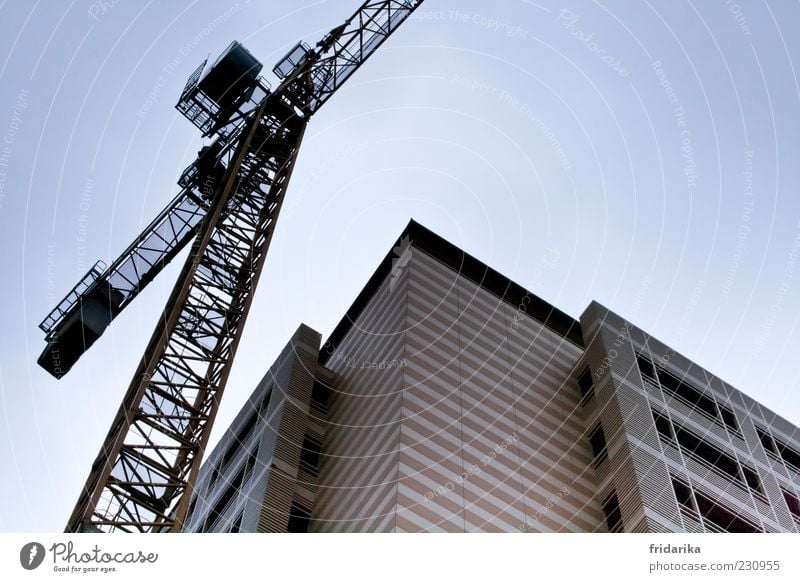 Kran und Hochhaus Industrieanlage Bauwerk Mauer Wand Fassade Fenster eckig groß hoch Baustelle Penthouse Farbfoto Außenaufnahme Tag Wolkenloser Himmel