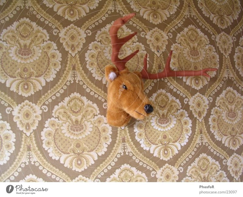 Koos Haus reindeer wallpaper interior pluche Rentier Mauer