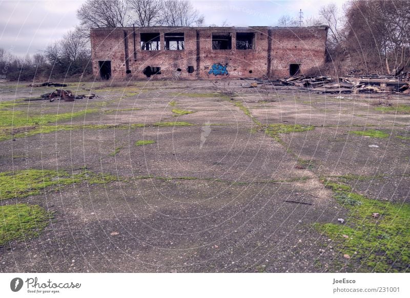 location usertreffen ffm Himmel Pflanze Moos Haus Ruine Bauwerk Gebäude kaputt verfallen Verfall Abrissgebäude Unbewohnt Wandel & Veränderung Vergänglichkeit