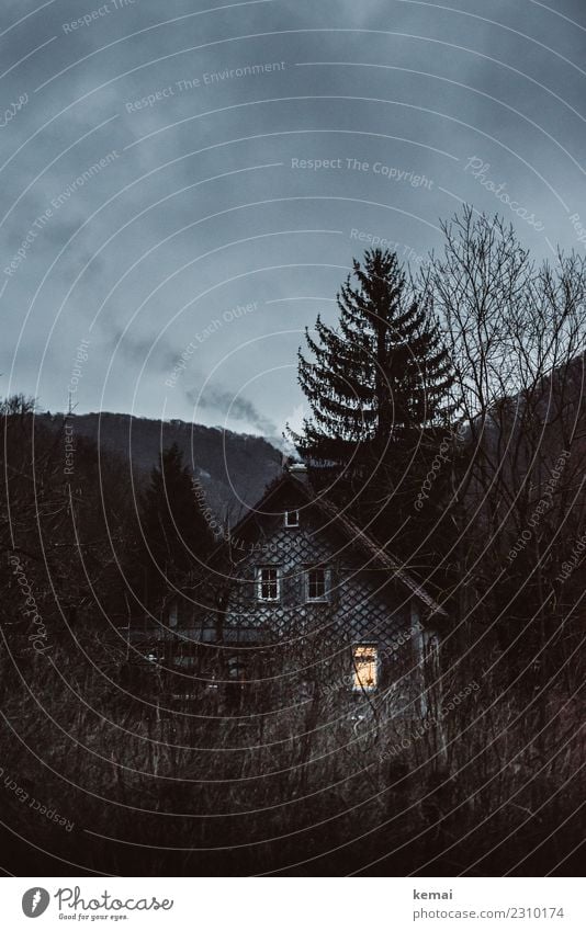 Das Haus am Waldrand Sinnesorgane Erholung ruhig Abenteuer Häusliches Leben Natur Himmel Wolken Herbst Winter Wetter Baum Sträucher Hügel Einfamilienhaus Kamin