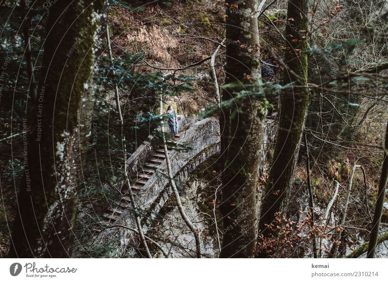 Auf der Teufelsbrücke Lifestyle Erholung ruhig Freizeit & Hobby Ausflug Abenteuer Freiheit Winter Mensch feminin Frau Erwachsene Leben 1 Landschaft Baum Wald