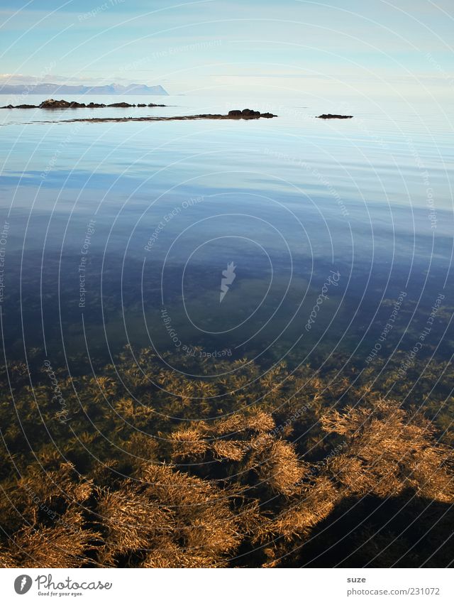 Durchsicht Umwelt Natur Landschaft Urelemente Wasser Himmel Wolkenloser Himmel Horizont Sommer Klima Küste Riff Meer kalt schön blau Zufriedenheit Einsamkeit