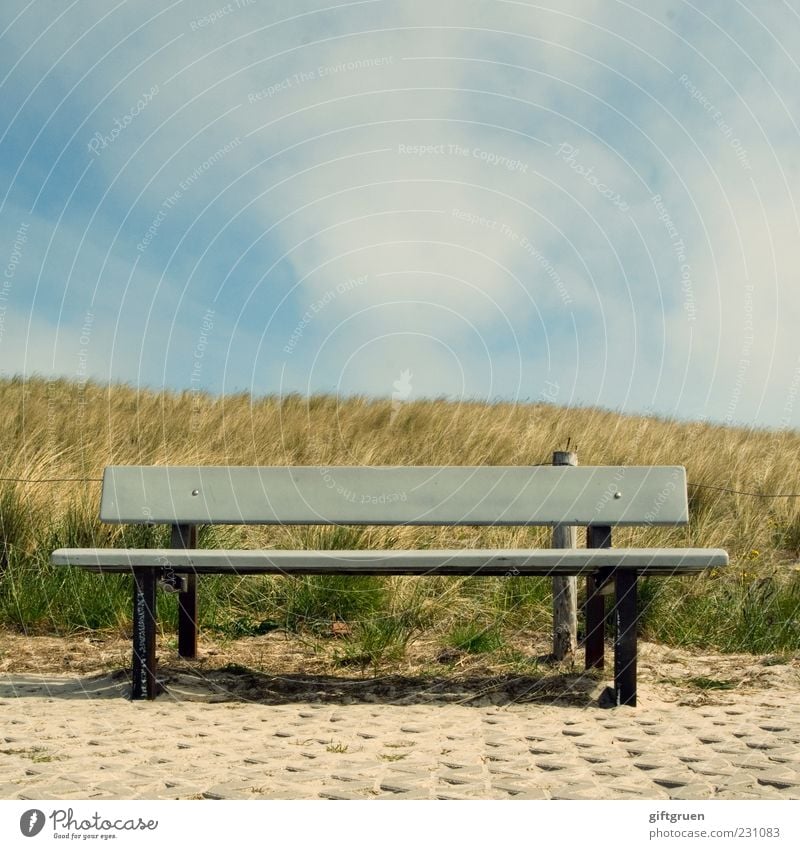 sonnenbank Umwelt Natur Himmel Wolken Sommer Schönes Wetter Pflanze Gras Wiese Hügel Erholung ruhig Bank Sitzgelegenheit Holzbank Parkbank Düne Dünengras