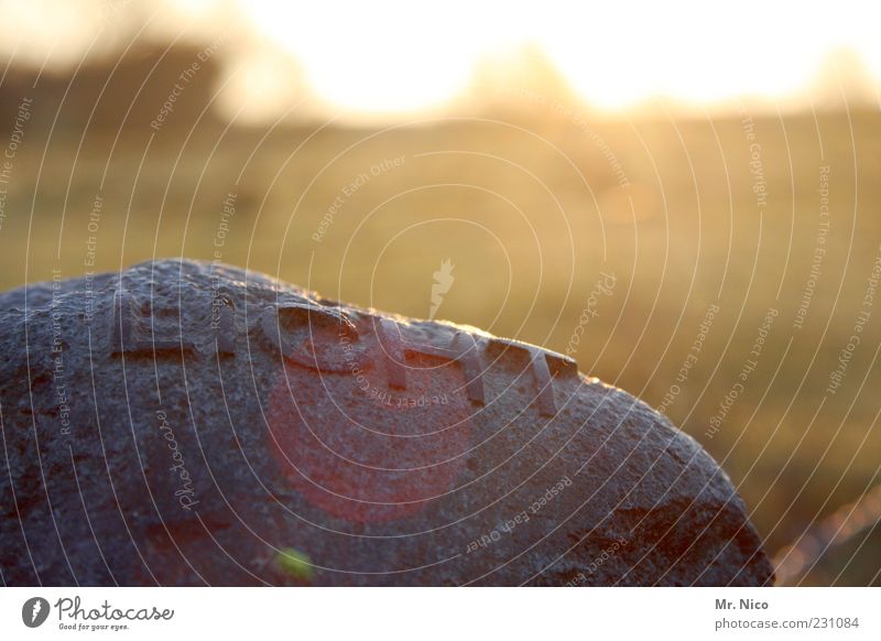 Licht Skulptur Natur Sonne Sonnenlicht hell ruhig Lichterscheinung Gegenlicht Stein Aufschrift Schriftzeichen Kunsthandwerk grell blenden Textfreiraum oben