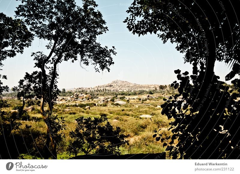 Steinberg Natur Landschaft Pflanze Himmel Indien Hampi Baum Gras Felsen grün Farbfoto Außenaufnahme Menschenleer Tag Schatten Kontrast Silhouette Sonnenlicht