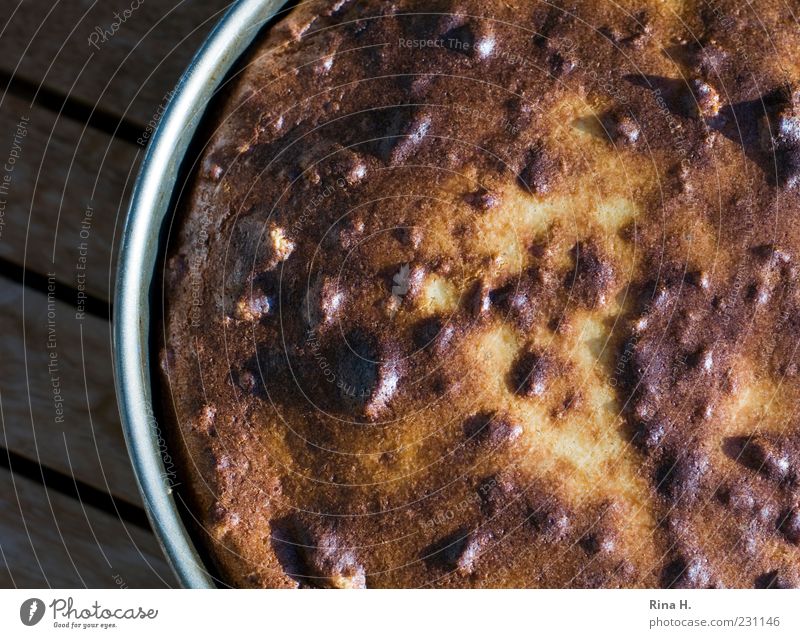 Tante Erna's Käsekuchen Teigwaren Backwaren Kuchen Duft frisch lecker rund saftig Backform Farbfoto Außenaufnahme Schwache Tiefenschärfe Vogelperspektive