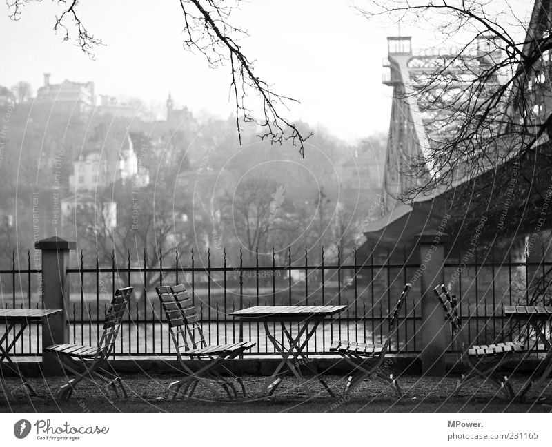 Elbblick Brücke Gebäude Stein Holz Stahl Rost Wasser Mittelpunkt Zaun Stuhl Café Elbe Dresden Spitze Fluss Elbhang grau trist Ast Restaurant Biergarten Terrasse