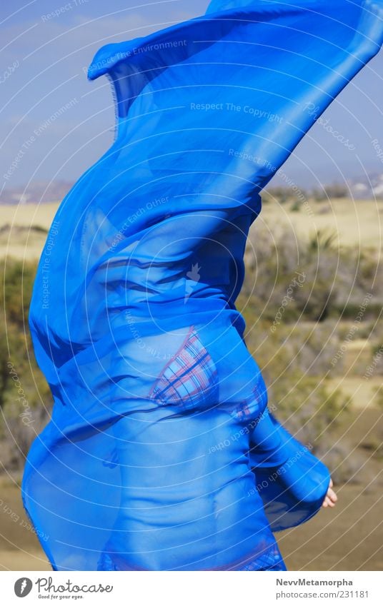 Wüstenwind Tuch Chiffon blau Bikini Tanzen Schleier umhüllen Wind Junge Frau 1 Oberkörper Strand Bewegung Arme Leichtigkeit