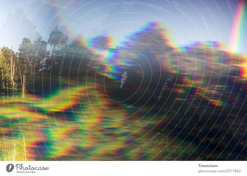 drunter und drüber | See, Wald, Himmel. Umwelt Natur Pflanze Wasser Schönes Wetter Irritation Prisma Reflexion & Spiegelung Farbfoto Außenaufnahme Menschenleer