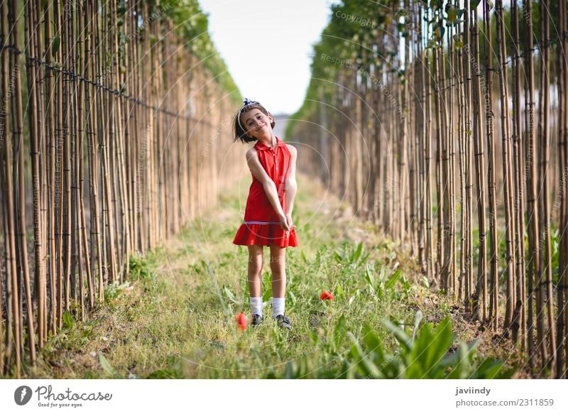 Kleines Mädchen im Naturfeld mit schönem Kleid Lifestyle Freude Glück Sommer Kind Mensch Baby Frau Erwachsene Kindheit 1 3-8 Jahre Blume Gras Wiese Mode Lächeln