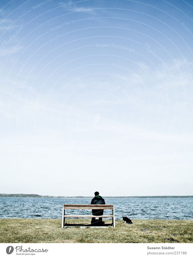 MannHundundMeer maskulin Landschaft Wellen Küste Seeufer Strand Haustier Gelassenheit geduldig Hoffnung Einsamkeit Stimmung Bank sitzen Pause ruhig