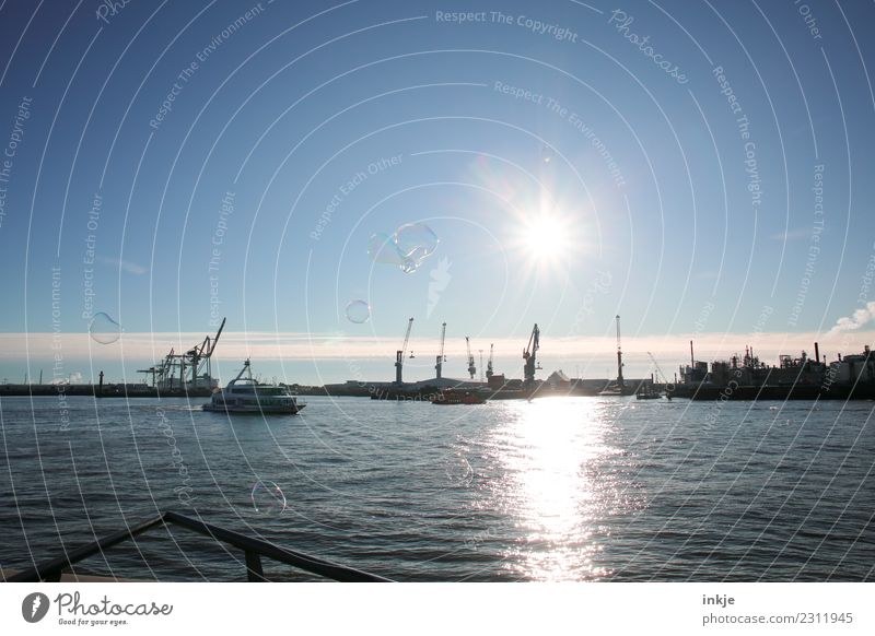 Der Hamburger Hafen mit Seifenblasen bei Gegenlicht. Landschaft Wasser Himmel Sonne Frühling Sommer Herbst Winter Schönes Wetter Hafenstadt Menschenleer