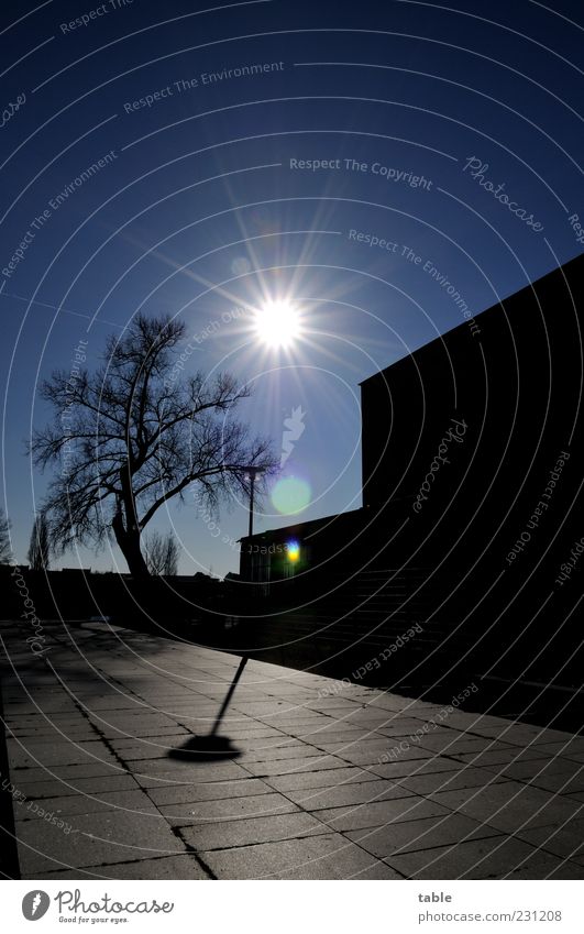 Gegenlicht Umwelt Urelemente Wolkenloser Himmel Sonne Winter Schönes Wetter Baum Haus Gebäude Mauer Wand Fassade Platz Straßenbeleuchtung Lampe Stein leuchten