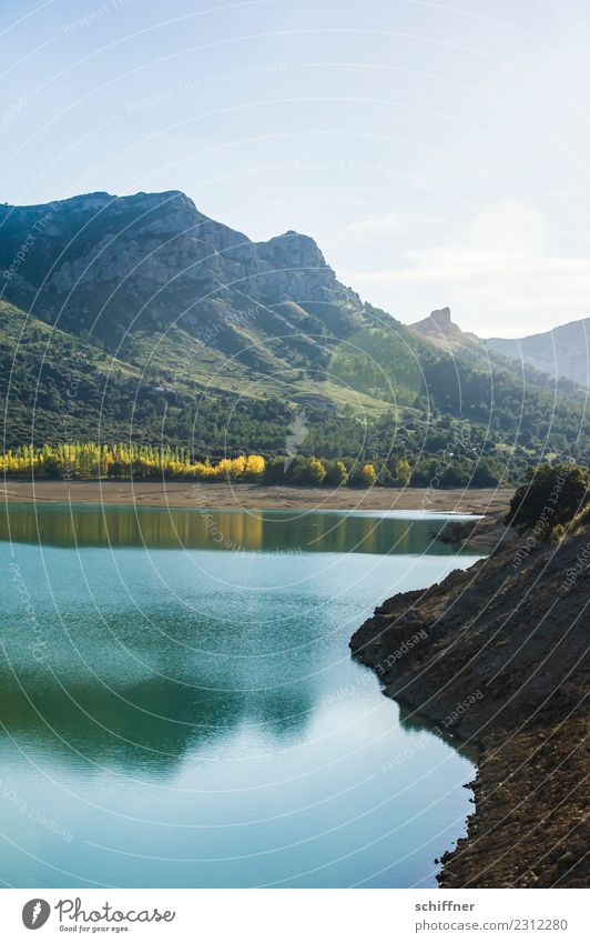 Überraschung | das ist Malle Umwelt Natur Landschaft Pflanze Erde Wasser Himmel Sonnenlicht Herbst Schönes Wetter Baum Gras Sträucher Wiese Wald Hügel