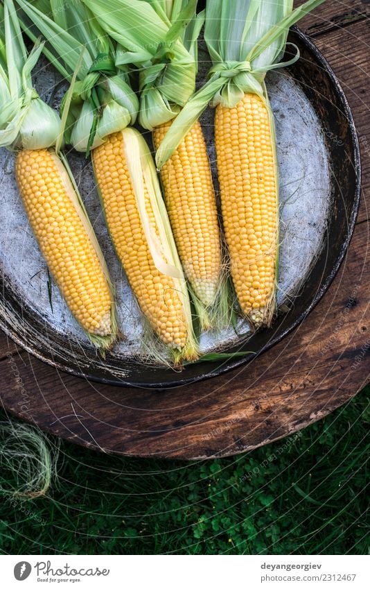 Rohmais im Garten Gemüse Ernährung Sommer Blatt Holz frisch natürlich gelb gold grün Mais Ernte süß Hintergrund Kolben Lebensmittel Gesundheit Ackerbau Zutaten