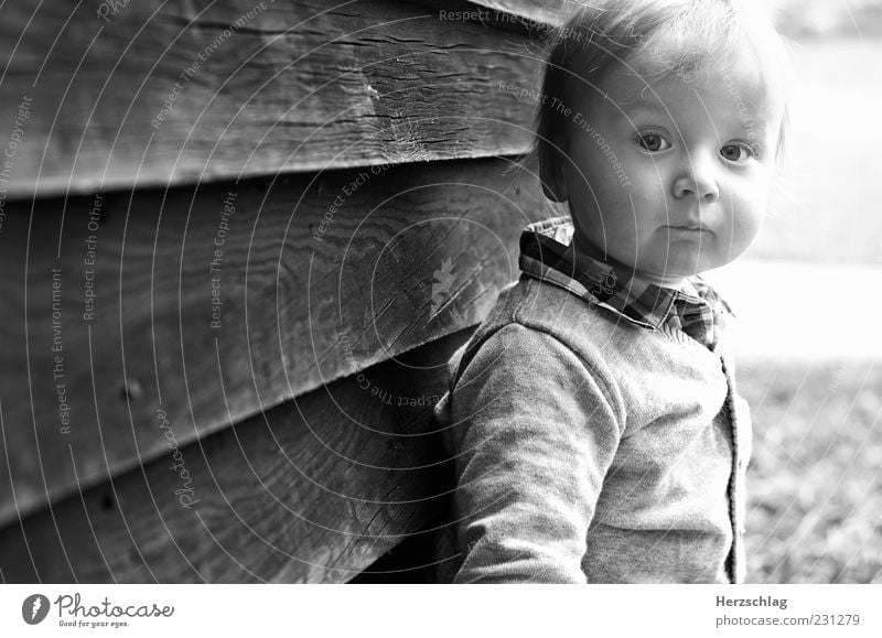 Save our children Kind Kleinkind Kopf 1 Mensch Blick authentisch schön Leben einzigartig Kindheit Schwarzweißfoto Außenaufnahme Porträt Blick in die Kamera