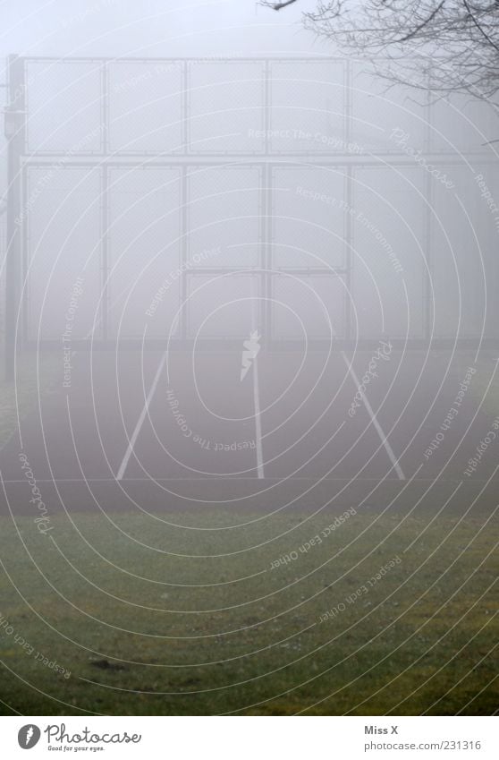 Sport im Nebel Sportstätten Rennbahn kalt grau Tor Sportplatz Farbfoto Außenaufnahme Menschenleer Textfreiraum unten Morgen Morgendämmerung Linie Nebelwand