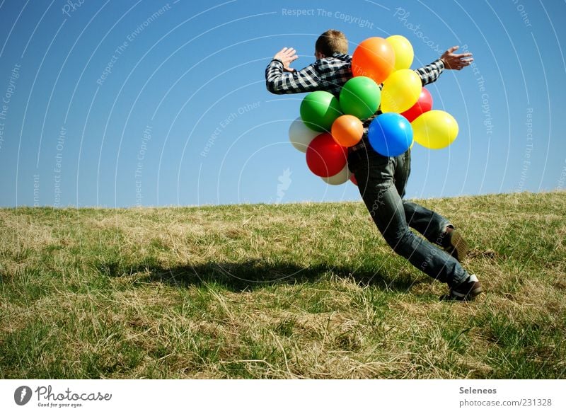 Wie ein Irrer Freizeit & Hobby Spielen Feste & Feiern Geburtstag Mensch 1 Umwelt Natur Himmel Wolkenloser Himmel Frühling Klima Schönes Wetter Gras Wiese