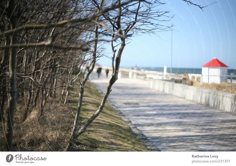 Promenade Sommer Sommerurlaub Meer Wasser Himmel Wolkenloser Himmel Sonne Schönes Wetter Baum Strand Ostsee blau rot weiß Einsamkeit Energie Erholung ruhig