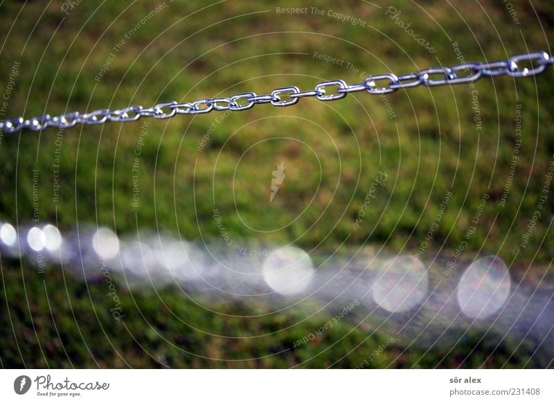 chain-management Rasen Kette Kettenglied Metall Stahl Netzwerk grün silber Sicherheit anketten Zusammenhalt robust stark Halt Eisenkette Teamwork glänzend 2