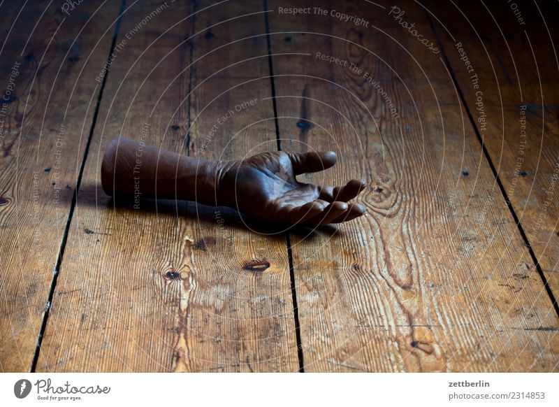 Hand amputiert Anatomie Körperteile Organ Organspender Lebewesen Textfreiraum Theaterschauspiel Finger Gummi Kunststoff Statue Skulptur liegen Flur Holzfußboden