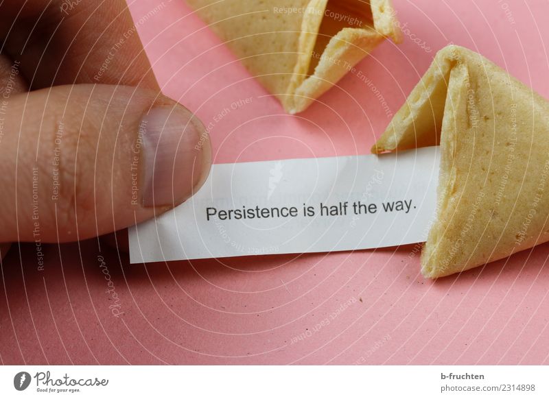 Persistence is half the way Süßwaren Mann Erwachsene Finger festhalten lesen rosa Glück Neugier Erwartung Glaube Religion & Glaube Ausdauer Weisheit Redewendung