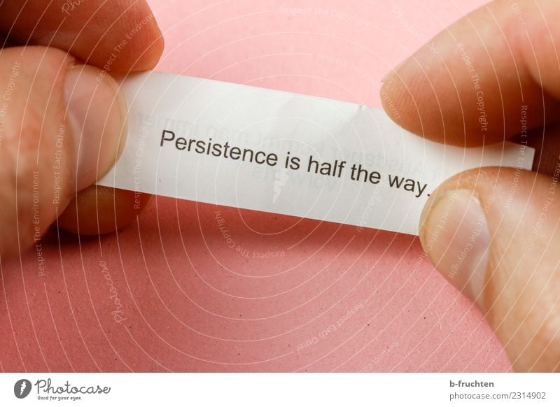 persistence is half the way Mann Erwachsene Finger Schriftzeichen Denken festhalten lesen Blick rosa Glück Optimismus Erfolg Kraft Willensstärke Tatkraft