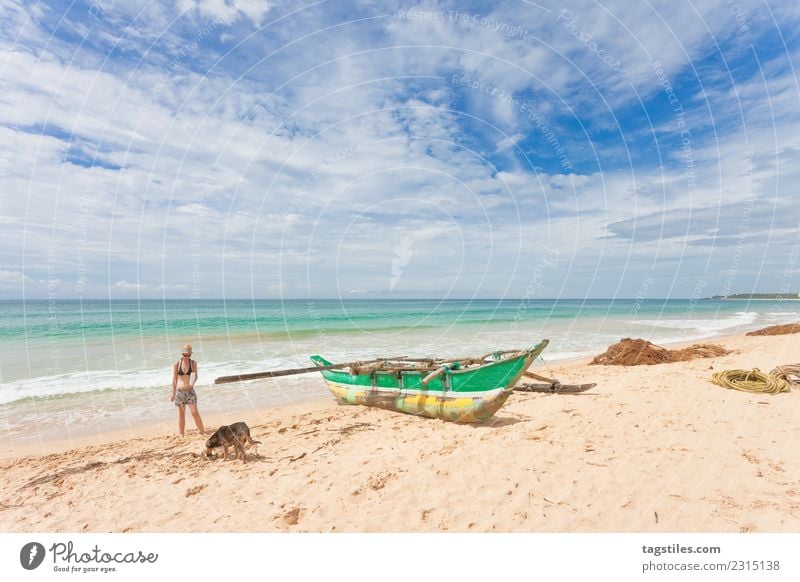 Eine Frau und ein Hund am Strand von Balapitiya Asien schön Kanu Kanusport Küste Angeln Fischereiwirtschaft Fischernetz Jagdhund Landschaft natürlich Natur Meer