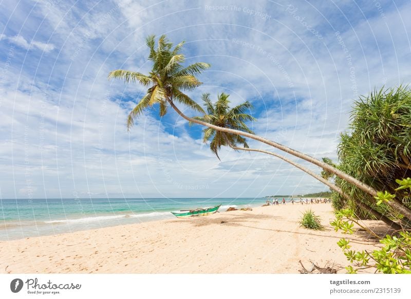 Balapitiya, Sri Lanka - Strand von Balapitiya Asien Kanu Kanusport Küste Handwerker Kunsthandwerker schlitzohrig Fischereiwirtschaft Angler Landschaft Mann