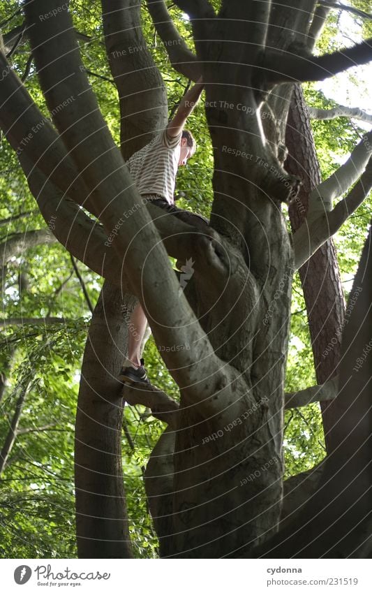 Von oben sieht man mehr Lifestyle Leben Freizeit & Hobby Ausflug Freiheit Mensch Junger Mann Jugendliche 18-30 Jahre Erwachsene Umwelt Natur Baum Wald Bewegung