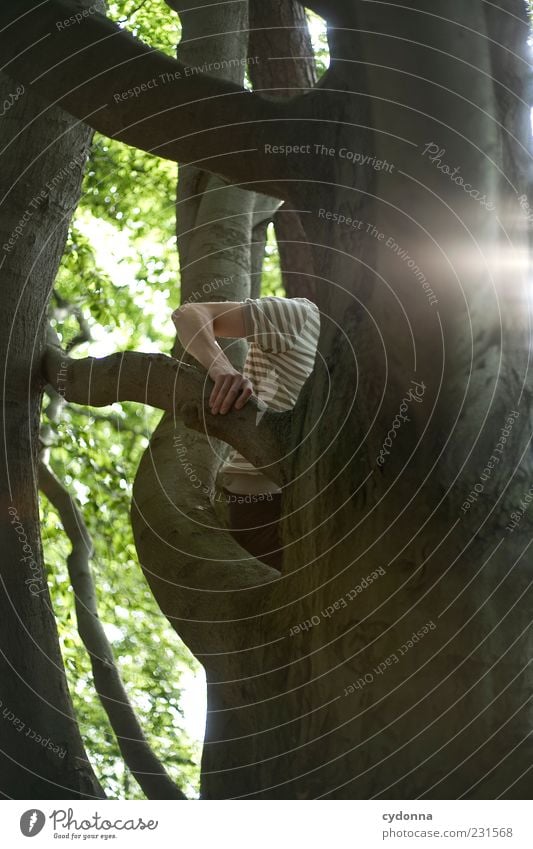 Jeder Handgriff sitzt Lifestyle Leben harmonisch Freizeit & Hobby Ausflug Freiheit Mensch Arme Umwelt Natur Sommer Baum Wald Bewegung Erfahrung Idee Idylle