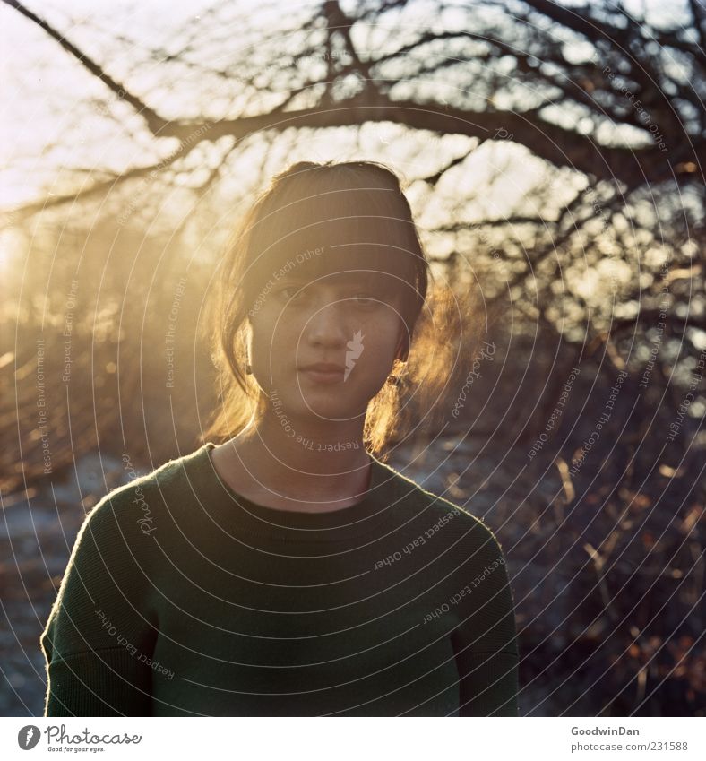 golden. Mensch feminin Junge Frau Jugendliche Erwachsene 1 Umwelt Natur Wetter Schönes Wetter Pflanze Baum atmen hell kalt schön Stimmung Farbfoto Außenaufnahme