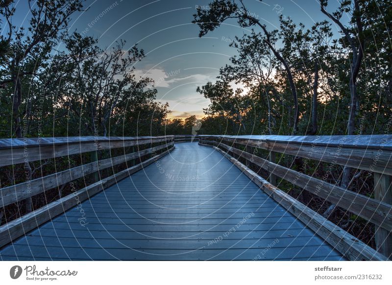 Uferpromenade durch den Sumpf, die bei Sonnenuntergang zum Clam Pass führt. Ferien & Urlaub & Reisen Ausflug Natur Landschaft Himmel Pflanze Küste Seeufer