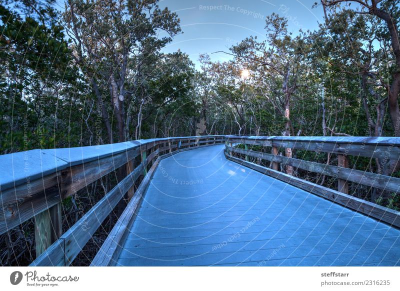 Mondaufgang über die Uferpromenade zum Clam Pass Ferien & Urlaub & Reisen Ausflug Natur Landschaft Himmel Vollmond Küste Flussufer Bucht Sehenswürdigkeit