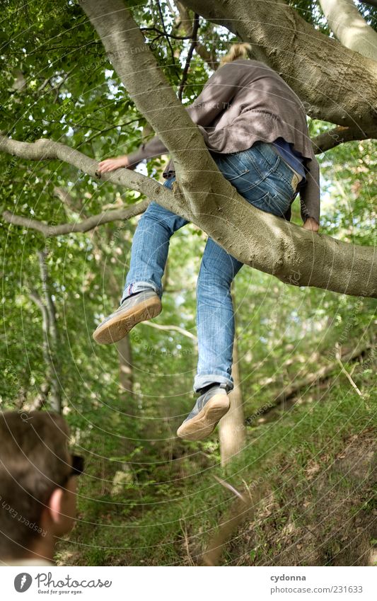 Platz in den Bäumen Lifestyle Leben Ausflug Freiheit Mensch Junge Frau Jugendliche Junger Mann Freundschaft Paar 2 18-30 Jahre Erwachsene Umwelt Natur Sommer