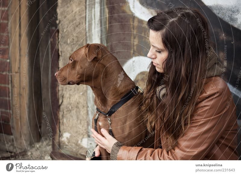 zwei feminin Junge Frau Jugendliche Erwachsene 1 Mensch 18-30 Jahre brünett langhaarig Tier Haustier Hund festhalten Umarmen braun Gassi gehen Farbfoto