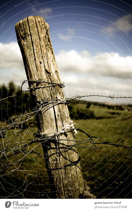 Symbolischer Zeitenwandel Umwelt Natur Landschaft Himmel Wolken Schönes Wetter Gras Holz Knoten mehrfarbig Stacheldrahtzaun Zaun Holzpfahl Sommer Farbfoto