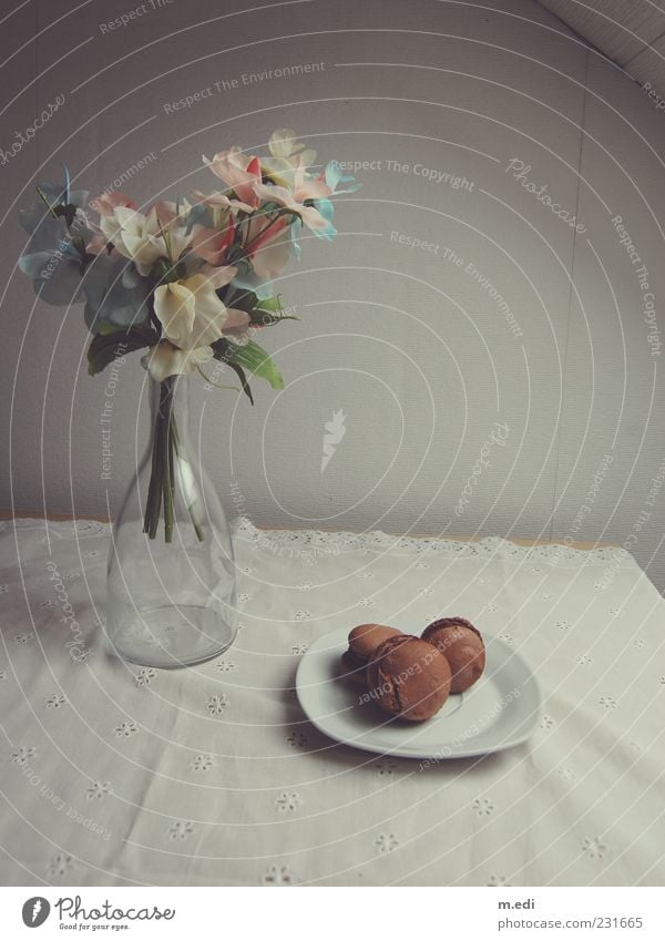 Fleurs et macarons Lebensmittel Dessert Süßwaren Schokolade Flasche genießen Kitsch süß Kunstblume Farbfoto Innenaufnahme Tag Stillleben Menschenleer Teller