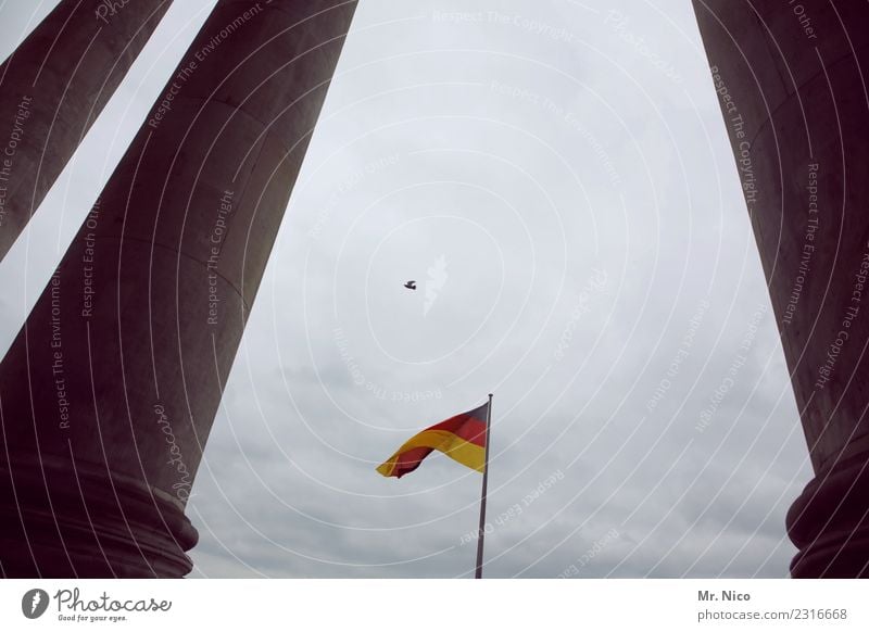 Einheitsvogel Hauptstadt Bauwerk Gebäude Architektur Sehenswürdigkeit Wahrzeichen Denkmal Deutscher Bundestag Vogel Zeichen gelb gold rot schwarz Fahne